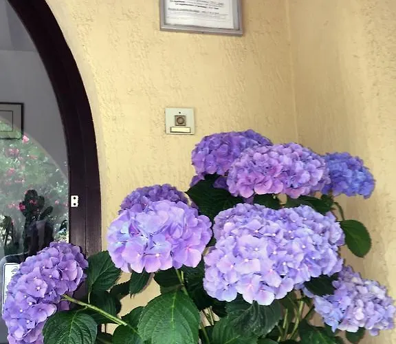 Appart hôtel Le Vieux Moulin LʼÎle-Rousse