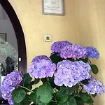 公寓式酒店 弗约穆兰汽车旅馆 LʼÎle-Rousse